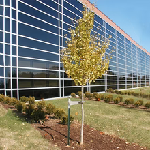 Tree Support